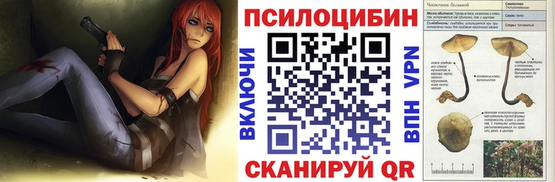 хочу наркоту  Ряжск  darknet формула  Псилоцибиновые грибы Psilocybine cubensis 